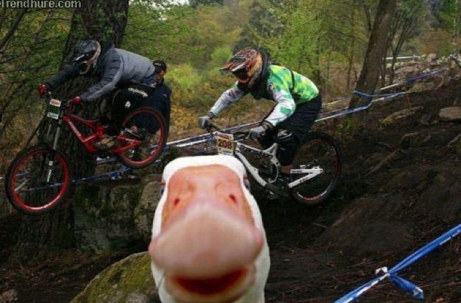 via: tumblr.com