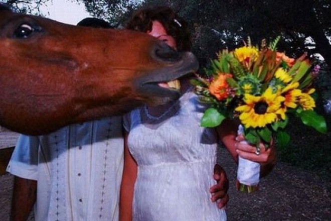 via: thisisphotobomb.memebase.com