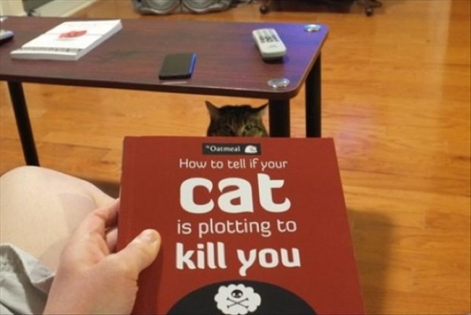 via: baconwrappedmedia.com
