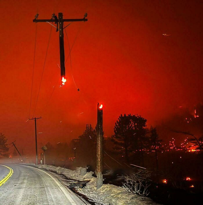 Power line on fire during a forest fire, creating a surreal scene.