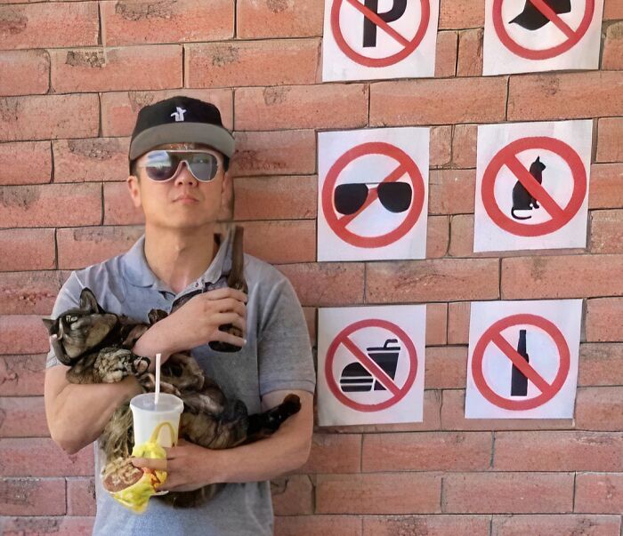 Man holding a cat, drink, and sandwich, standing by no-entry signs, creating a humorous scene that makes one go 'hmmm'.