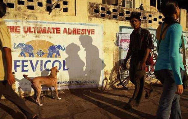 Perfectly Timed - Photos Taken At The Right Moment (8)